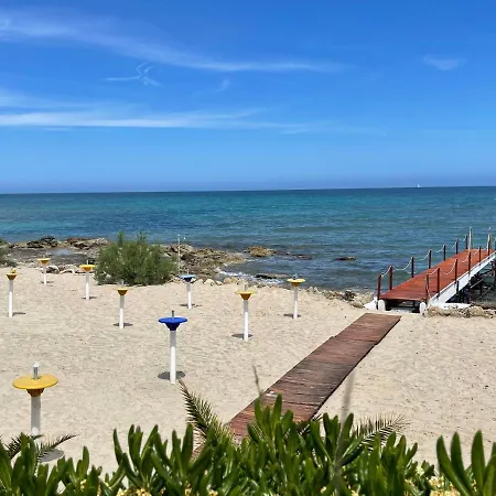 Gatto Bianco Casalabate