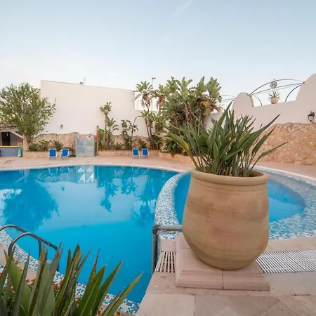 Gatto Bianco Casalabate