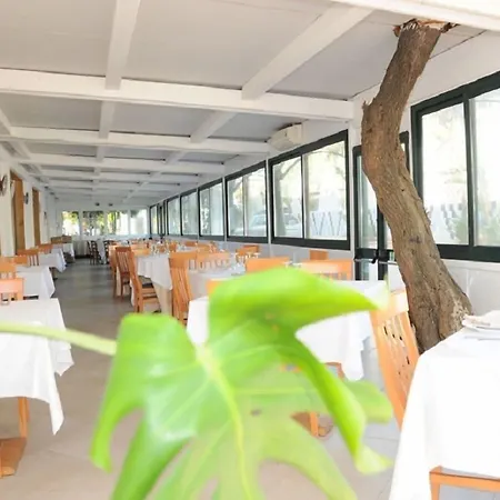 Gatto Bianco Casalabate