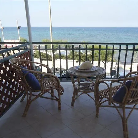 Gatto Bianco Casalabate