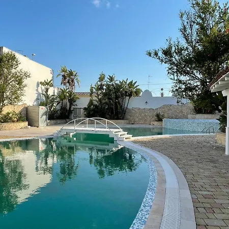 Gatto Bianco Casalabate