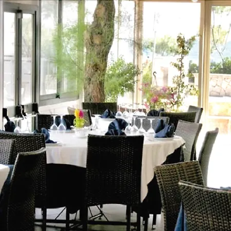 Gatto Bianco Casalabate