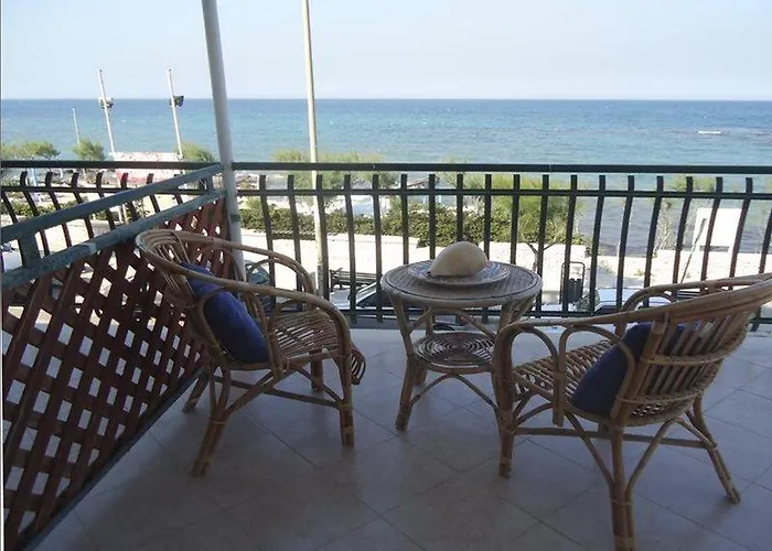 Gatto Bianco Casalabate