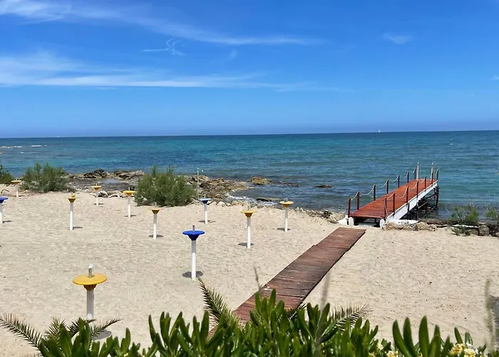 Gatto Bianco Casalabate