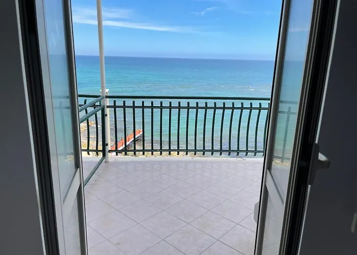 Gatto Bianco Casalabate Lecce