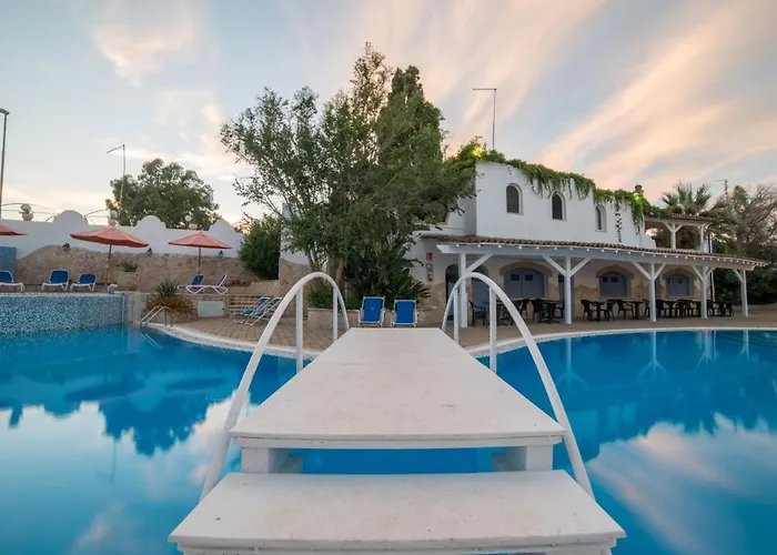 Gatto Bianco Casalabate Lecce