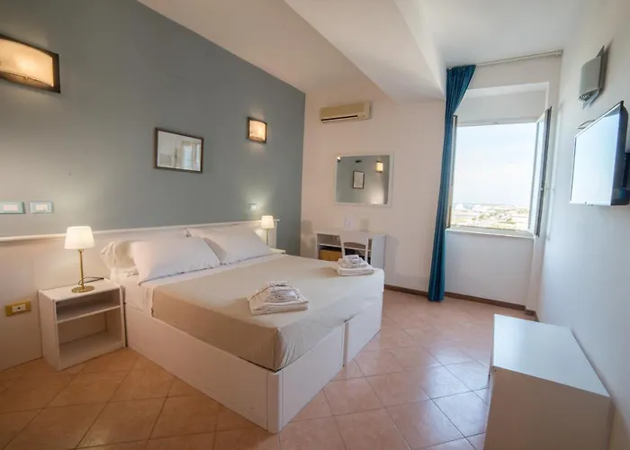 Gatto Bianco Casalabate