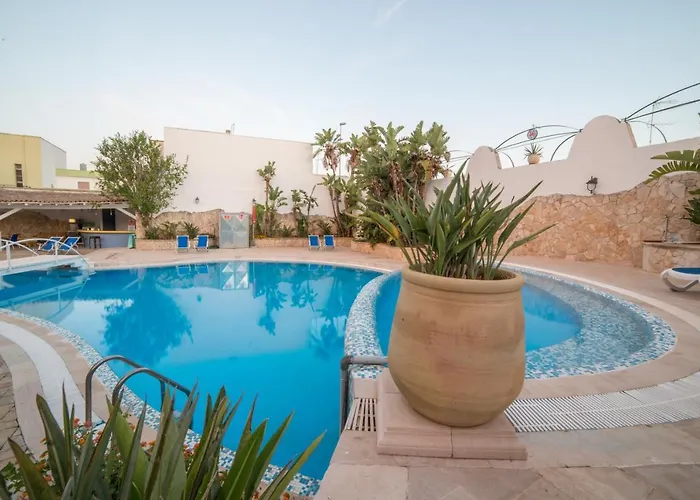 Gatto Bianco Casalabate