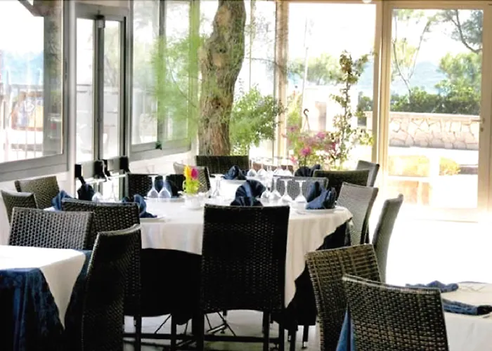 Gatto Bianco Casalabate