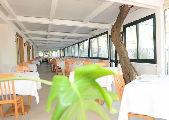 Gatto Bianco Casalabate