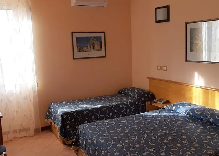 Gatto Bianco Casalabate